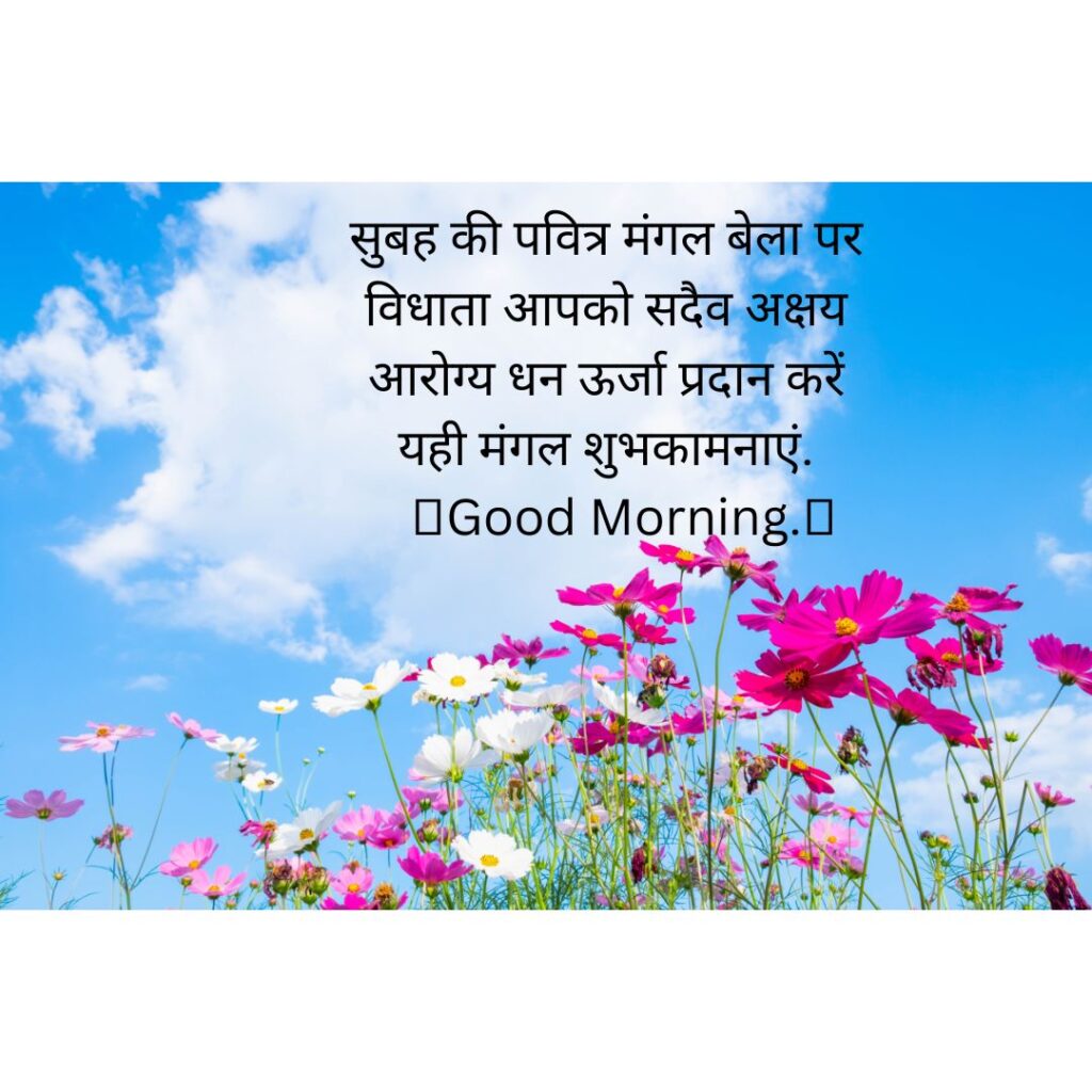 Best Good Morning Quotes Flowers