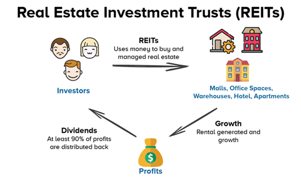 What is REIT ?