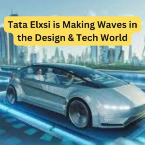 What is the Work of Tata Elxsi?