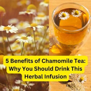 5 Benefits of Chamomile Tea: Why You Should Drink This Herbal Infusion